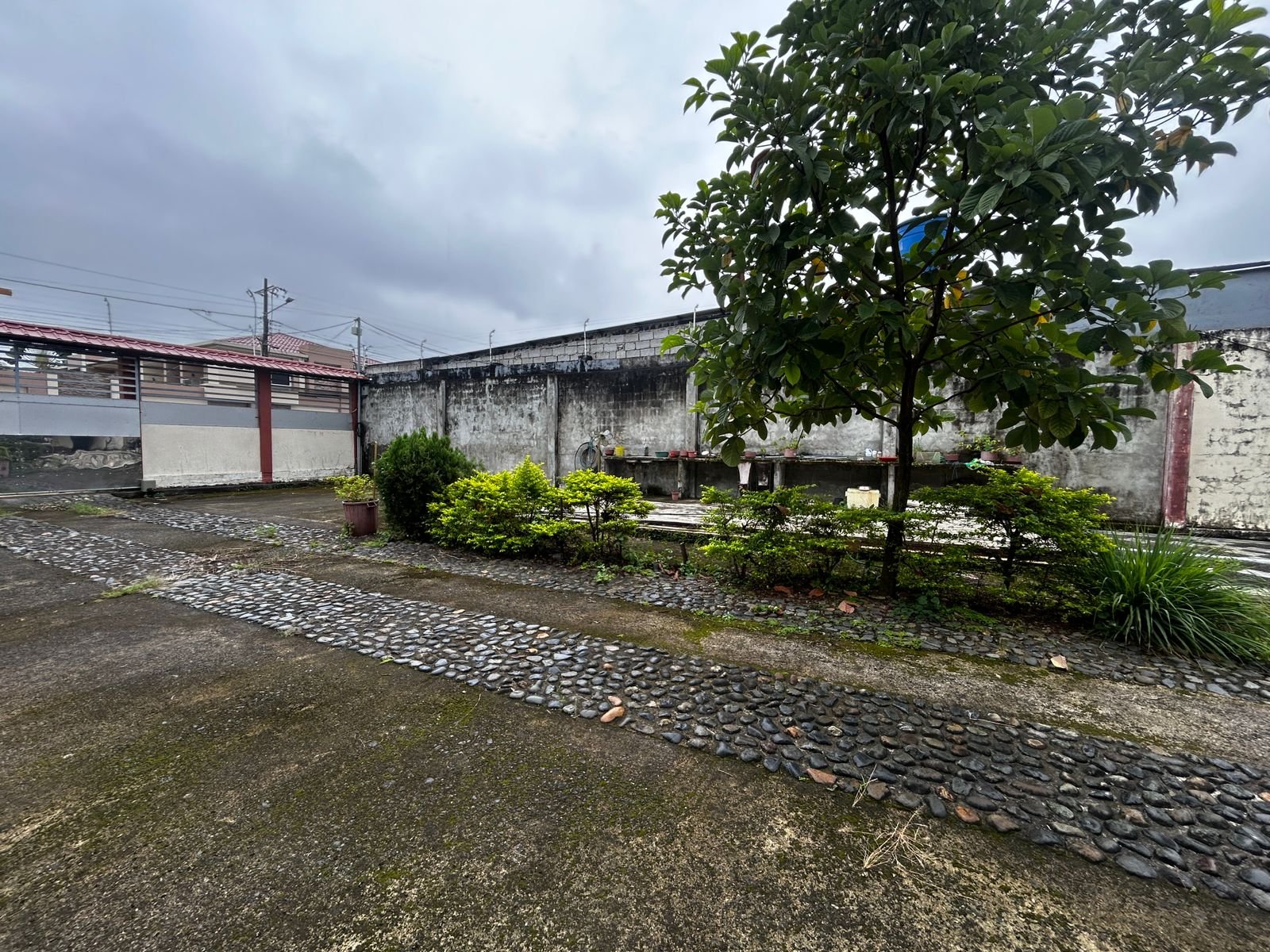 Vista Principal